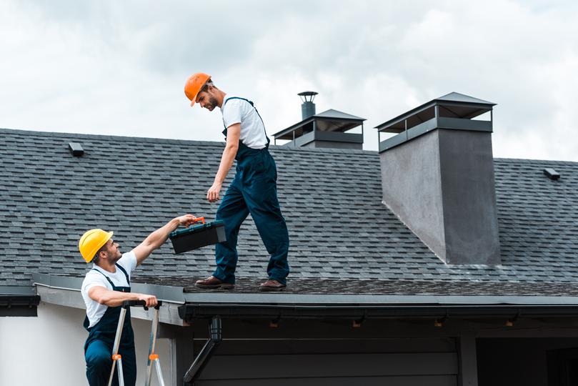 Professional Roofing Services in United Kingdom